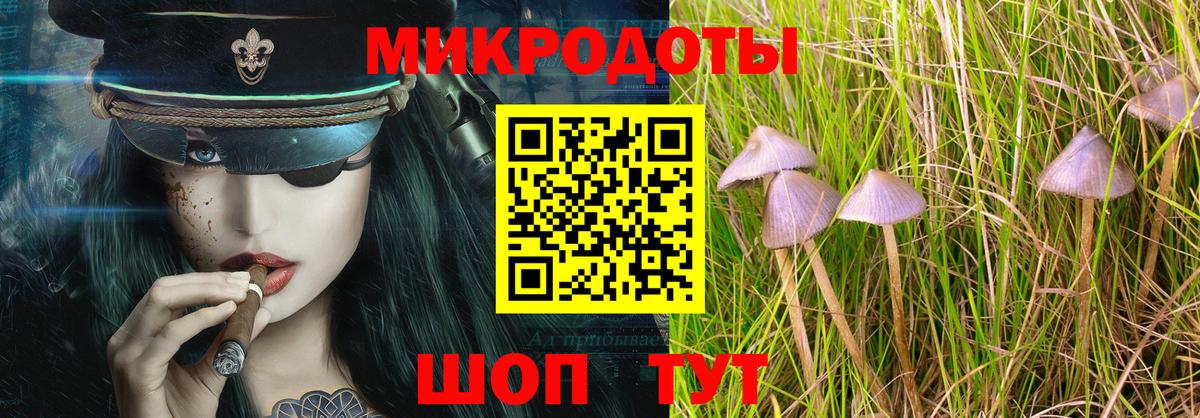 Псилоцибиновые грибы мухоморы Пушкино
