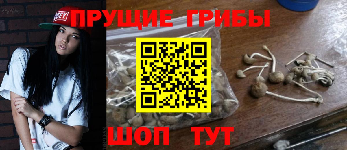 Псилоцибиновые грибы Psilocybe  Вход с VPN  сколько стоит  Пушкино 